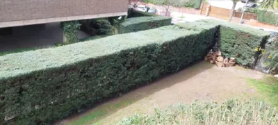 Piso en alquiler en Calle de Mesena, cerca de Calle de Burgo de Osma - Imagen 73