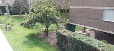 Piso en alquiler en Calle de Mesena, cerca de Calle de Burgo de Osma - Imagen 72