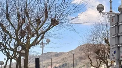 Piso en venta en Askatasunaren Hiribidea, 25, Centro (San Sebastián - Donostia) de 625.000 €