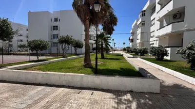 Piso en alquiler en Paseo Marítimo, 37, Valdelagrana (El Puerto de Santa María) de 550 €<span>/mes</span>