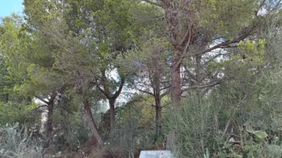 Chalet rústico en venta en Lloseta, Lloseta de 835.000 €