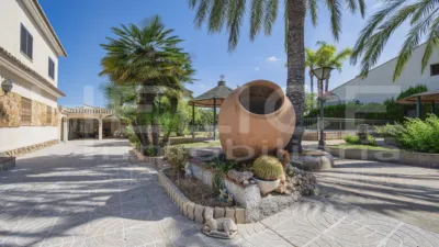 House on Calle de Alzira photo 62
