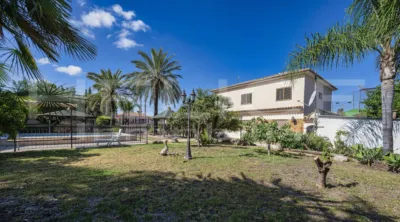 House on Calle de Alzira photo 65