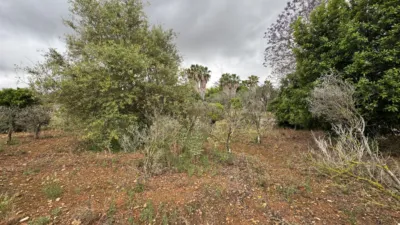 Piso – Pedreguer, la Marina Alta - Vista 4