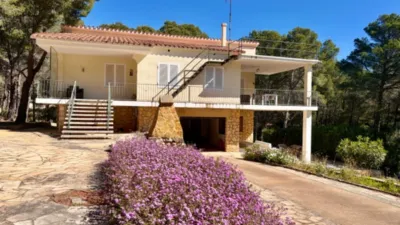 Chalet in Carrer dels Bolets photo 3