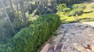 Chalet in Carrer dels Bolets photo 8