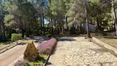 Chalet in Carrer dels Bolets photo 7