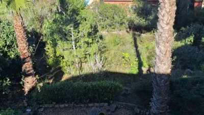 Detached house on Avinguda de la Marina Alta photo 11