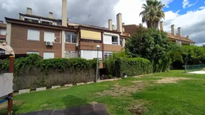 Apartment in Pinar-Punta Galea photo 6