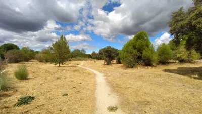 Apartment in Pinar-Punta Galea photo 18