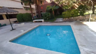 Penthouse in Casa Amarilla Street Area photo 17