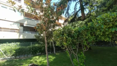 Penthouse in Casa Amarilla Street Area photo 14