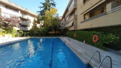 Penthouse in Casa Amarilla Street Area photo 16