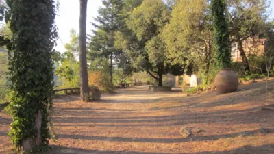 Rustic Finca on Carrer del Doctor Trueta photo 60