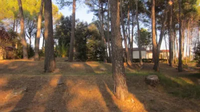 Rustic Finca on Carrer del Doctor Trueta photo 59