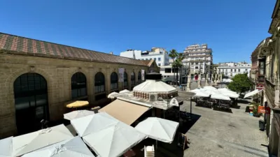 House on Doña Blanca Street photo 8