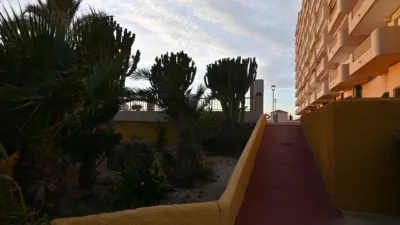 Apartamento en Urbanización Rubi , Km. 3 photo 36