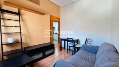 Apartment on Calle de Cavanilles photo 5