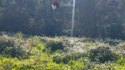 Terreno en venta en Calle Albuerne, Albuerne (Cudillero) de 55.000 €