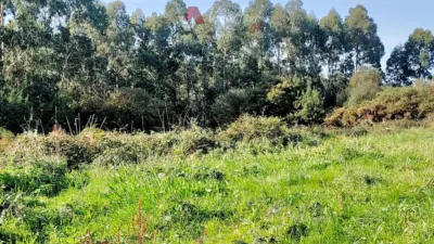 Terreno en venta en Calle Albuerne, Albuerne (Cudillero) de 55.000 €