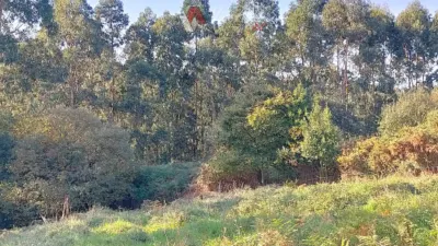 Terreno en venta en Calle Albuerne, Albuerne (Cudillero) de 55.000 €