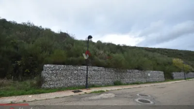 Terreno en venta en Calle Saliencias, Número Sn, Puerto de San Isidro (Puebla de Lillo) de 55.000 €