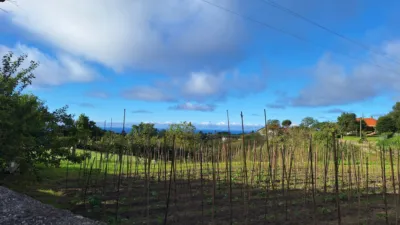 Terreno en venta en Quintes, Quintes (Villaviciosa) de 95.000 €