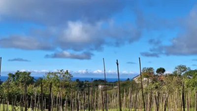 Terreno en venta en Quintes, Quintes (Villaviciosa) de 95.000 €