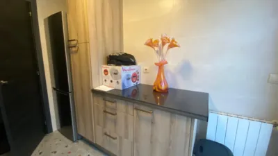 Apartment on Oriñon Street photo 3