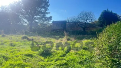 House on Pastoriza Street photo 6