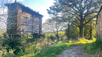House on Pastoriza Street photo 2