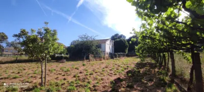 House in Plaza del Cruceiro-Cartelle photo 5