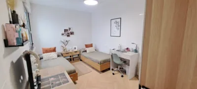 Apartment in Plaza Zona de La Plaza de Mina photo 32