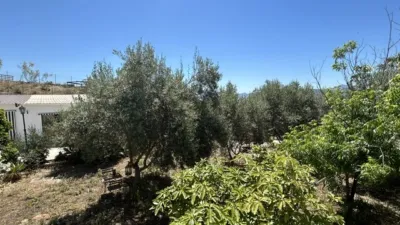 Rustic Finca on Camino El Cano photo 35
