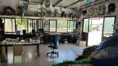 Rustic Finca on Camino El Cano photo 44