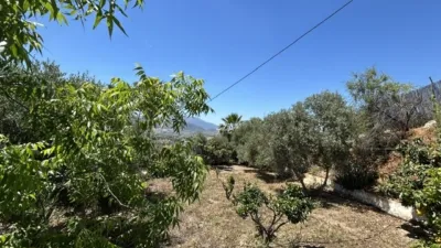 Rustic Finca on Camino El Cano photo 33