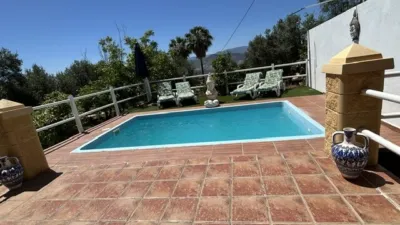 Rustic Finca on Camino El Cano photo 6