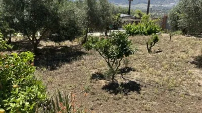 Rustic Finca on Camino El Cano photo 30
