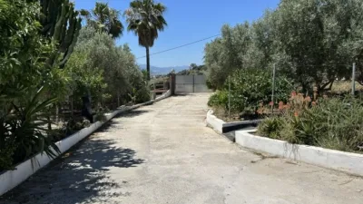Rustic Finca on Camino El Cano photo 37