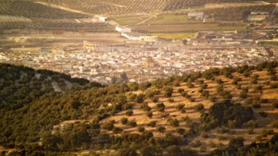 House on Calle del Murillo photo 27