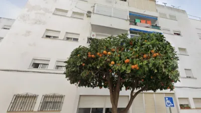 Apartment on Calle de la Peineta photo 7