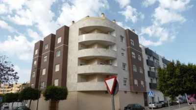 Apartment on Paseo del Alcalde García Acién photo 5