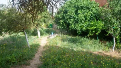 Casa unifamiliar en San Pedro y San Felices-San Agustín-Parque Europa photo 6