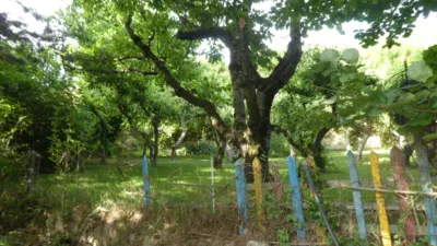 Single-family home in San Medel photo 29