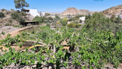 Chalet on Camino Huerta las Parras, 1 photo 20
