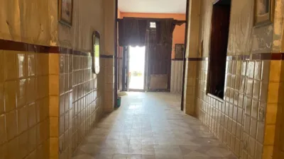 Apartment on Carrer de Sant Antoni photo 2
