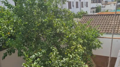 House in El Bosque photo 12
