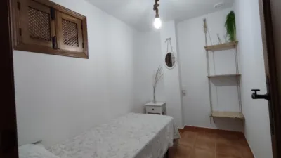 Apartment in El Bosque photo 20