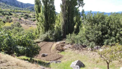 Rustic house in Benaocaz photo 41