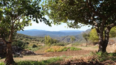Rustic house in Benaocaz photo 39